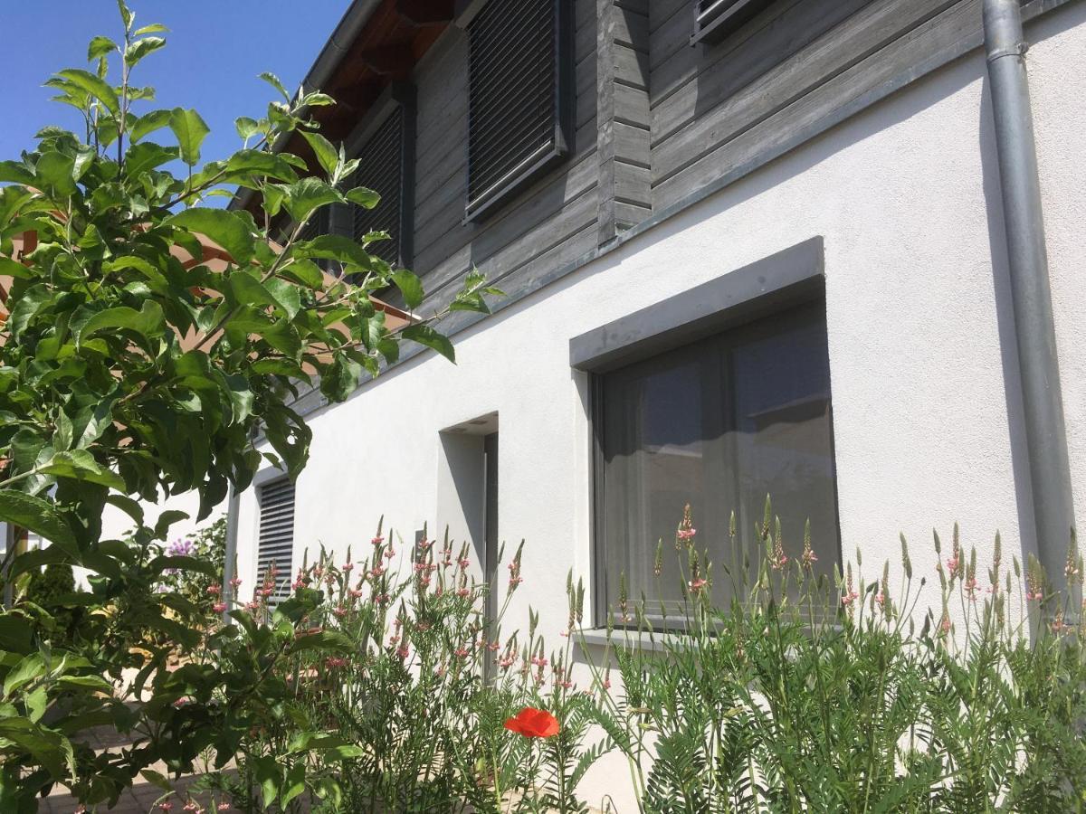 Sweetsuites 40A Lavendelhaus Mühlhausen المظهر الخارجي الصورة