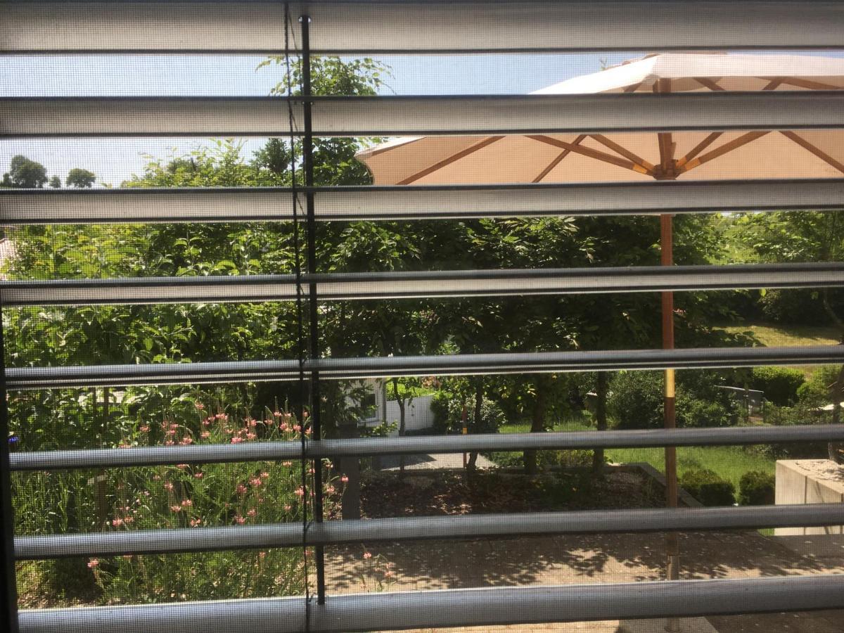 Sweetsuites 40A Lavendelhaus Mühlhausen المظهر الخارجي الصورة